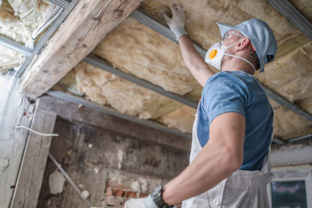 Best DIY Insulation Kits and Guidance in Marysville, PA